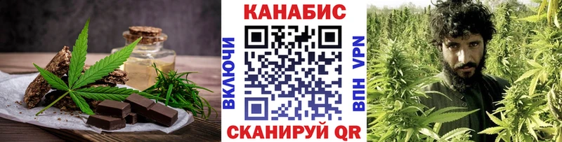 Canna-Cookies конопля  хочу   Кедровый 