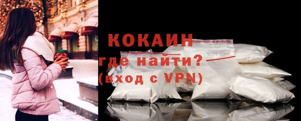 прущие грибы Елабуга