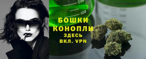 прущие грибы Елабуга
