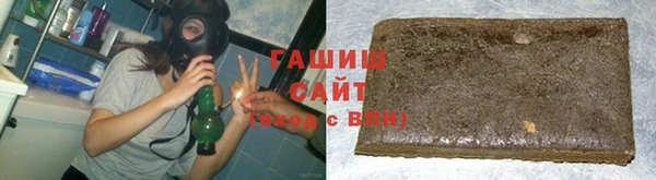 прущие грибы Елабуга