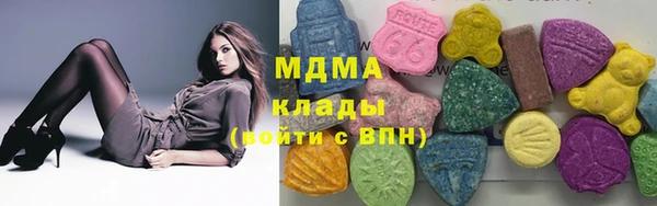 прущие грибы Елабуга