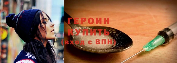 прущие грибы Елабуга