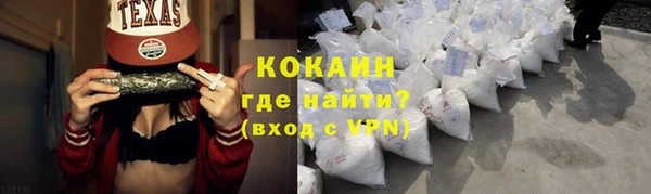 мет Елизово