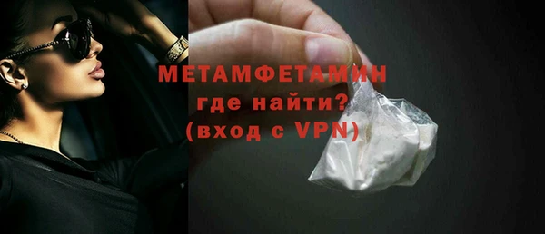 прущие грибы Елабуга