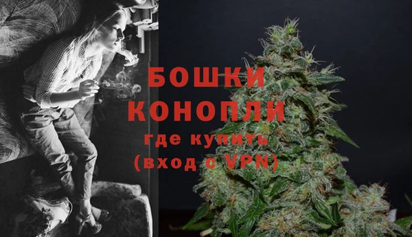 прущие грибы Елабуга