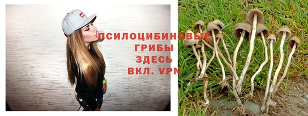 мет Елизово