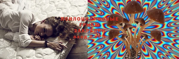 мет Елизово