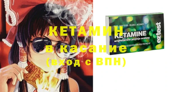 прущие грибы Елабуга