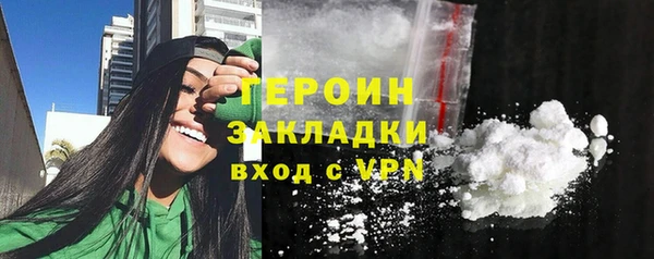 прущие грибы Елабуга