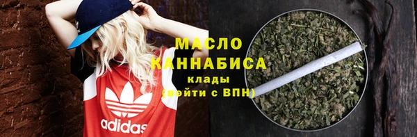 прущие грибы Елабуга