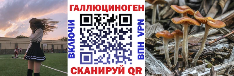 Псилоцибиновые грибы Magic Shrooms  Кедровый 
